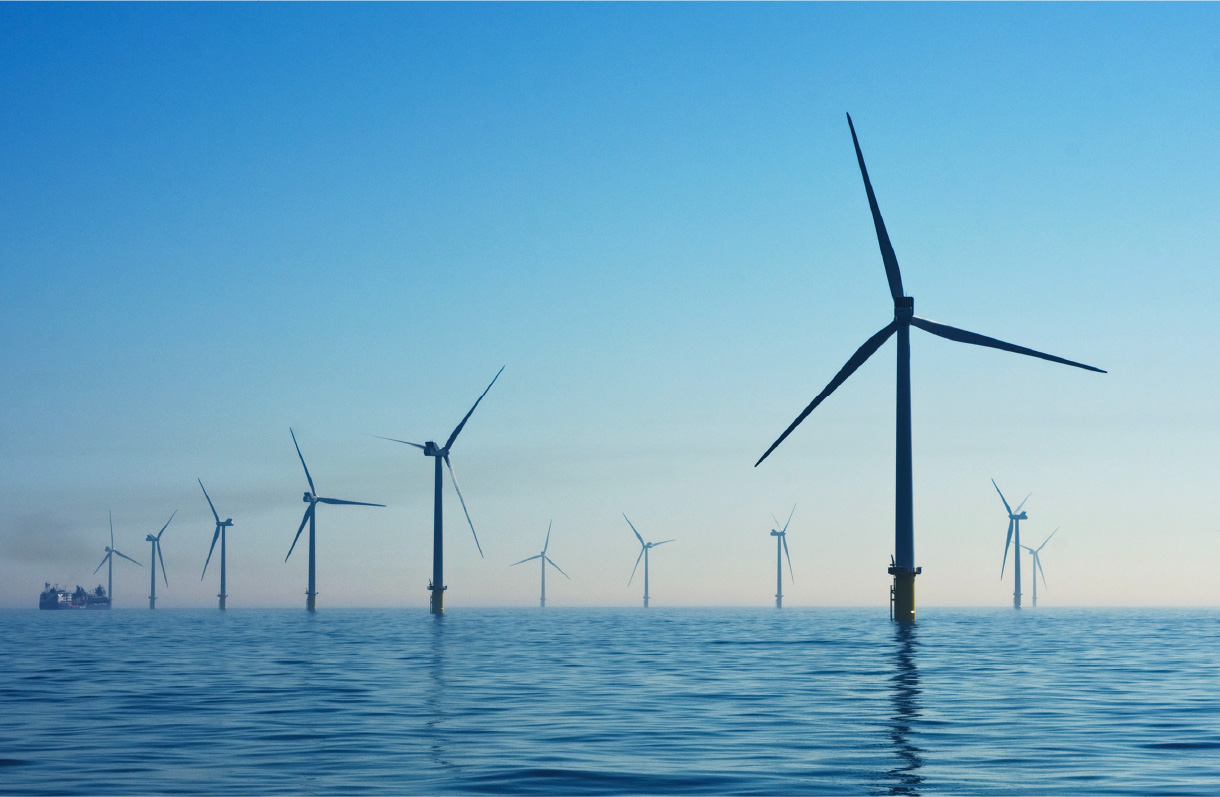 ダミーサステナブルとは